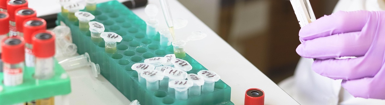 Discovery and Characterization of Bioactive Compounds from Indigenous Medicinal Plants for Combatting Antimicrobial Resistance in East Africa